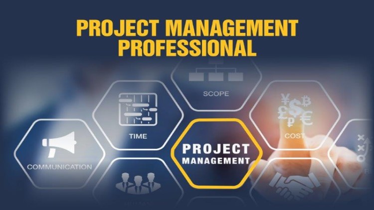 Project Management Professional